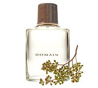 Туалетная вода-спрей Domain